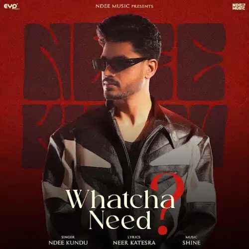 Whatcha Need Song Thumbnail